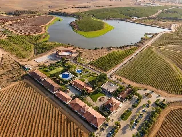 Foto de capa de Vila Galé Alentejo Vineyards & Olive